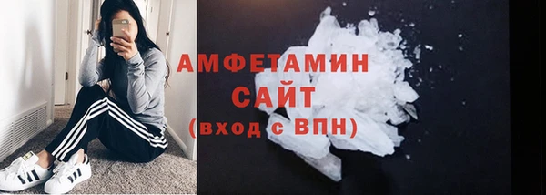 ГАЛЛЮЦИНОГЕННЫЕ ГРИБЫ Аркадак