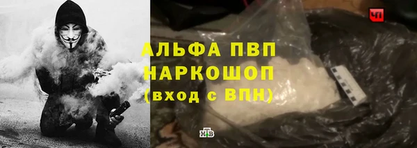 ГАЛЛЮЦИНОГЕННЫЕ ГРИБЫ Аркадак