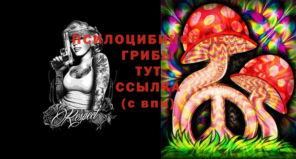 ГАЛЛЮЦИНОГЕННЫЕ ГРИБЫ Аркадак