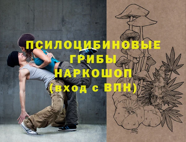 ГАЛЛЮЦИНОГЕННЫЕ ГРИБЫ Аркадак