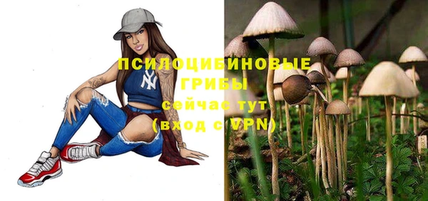 ГАЛЛЮЦИНОГЕННЫЕ ГРИБЫ Аркадак