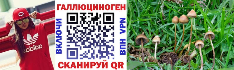 kraken ONION нарко площадка клад Псилоцибиновые грибы MAGIC MUSHROOMS Мензелинск